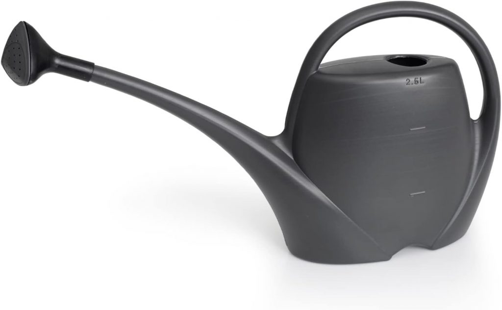 arrosoir à long bec