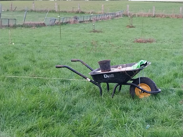 le jardinage pour débutants