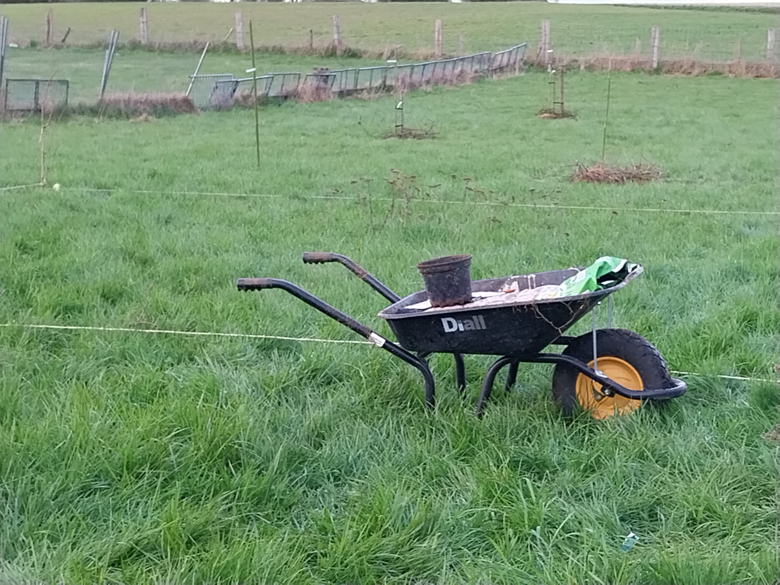 le jardinage pour débutants
