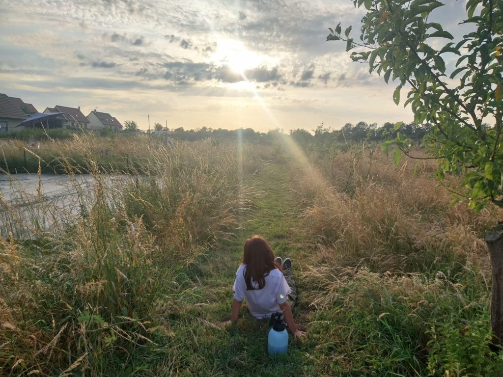 permaculture et développement durable