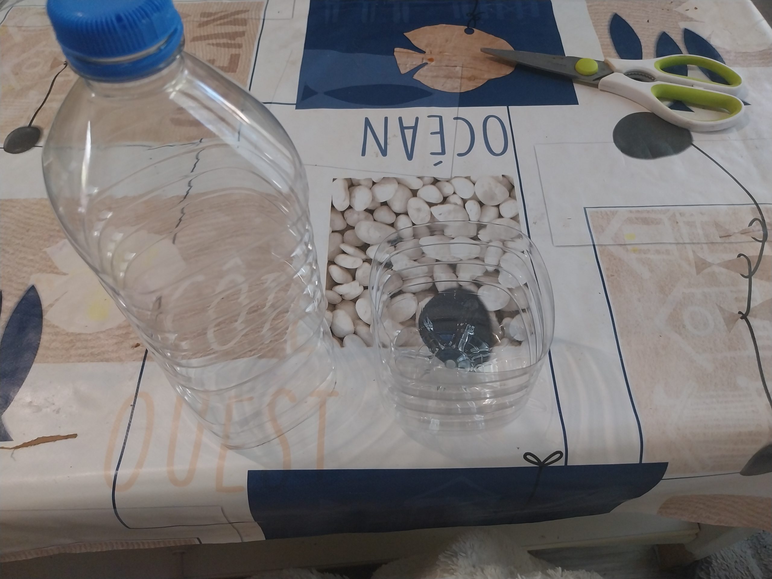 créer-une-mini-serre-avec-une-bouteille