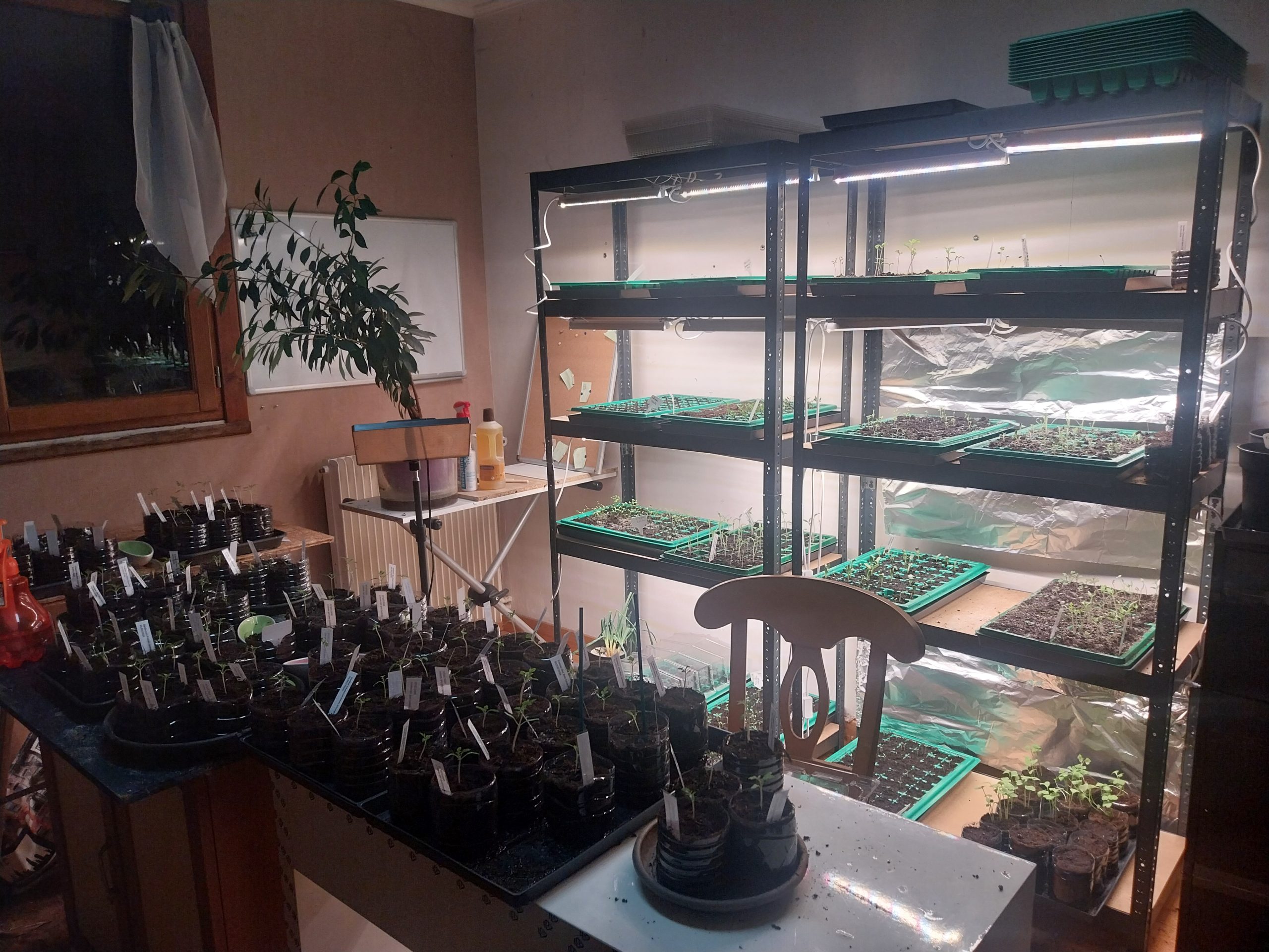 lampe horticole
