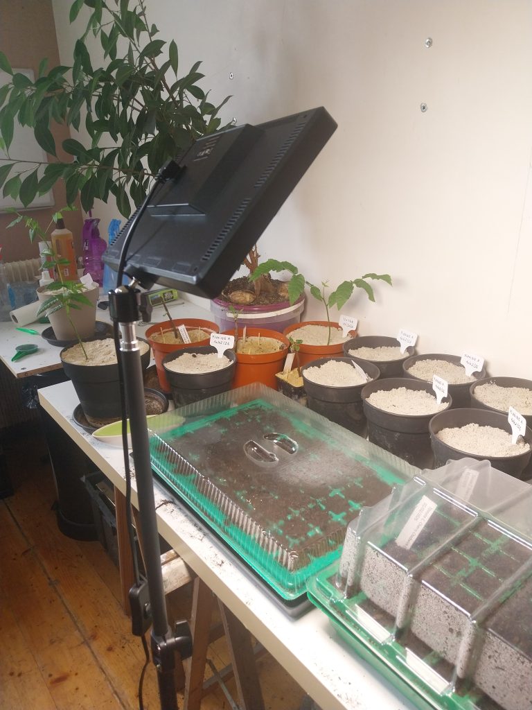 lampe horticole sur trépied